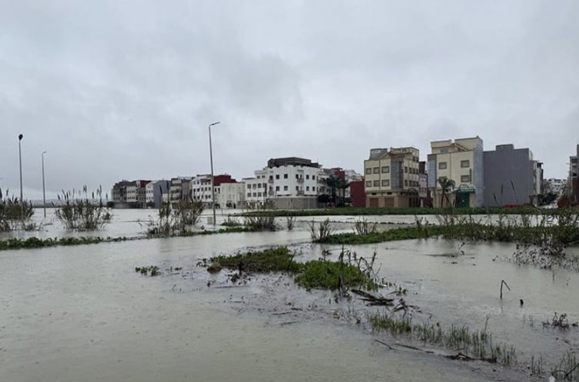 Capture d’écran 2026-02-10 094215