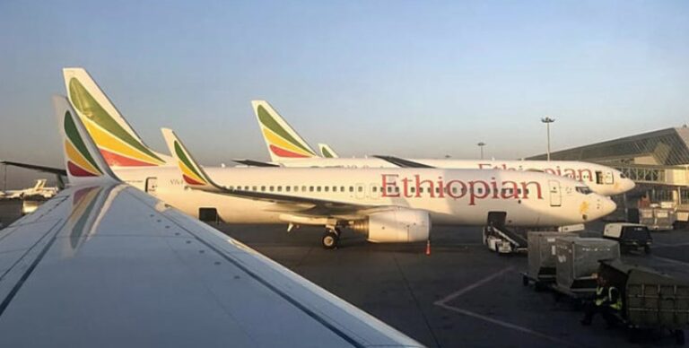 Capture d’écran 2026-02-11 155007