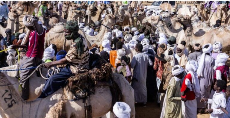 Capture d’écran 2026-02-13 093805