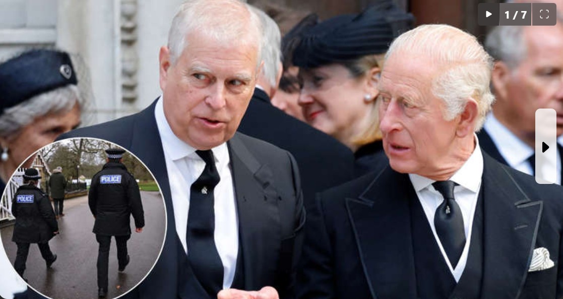 Capture d’écran 2026-02-23 045800