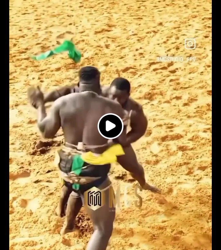 Screenshot_20260204_184747_Lite