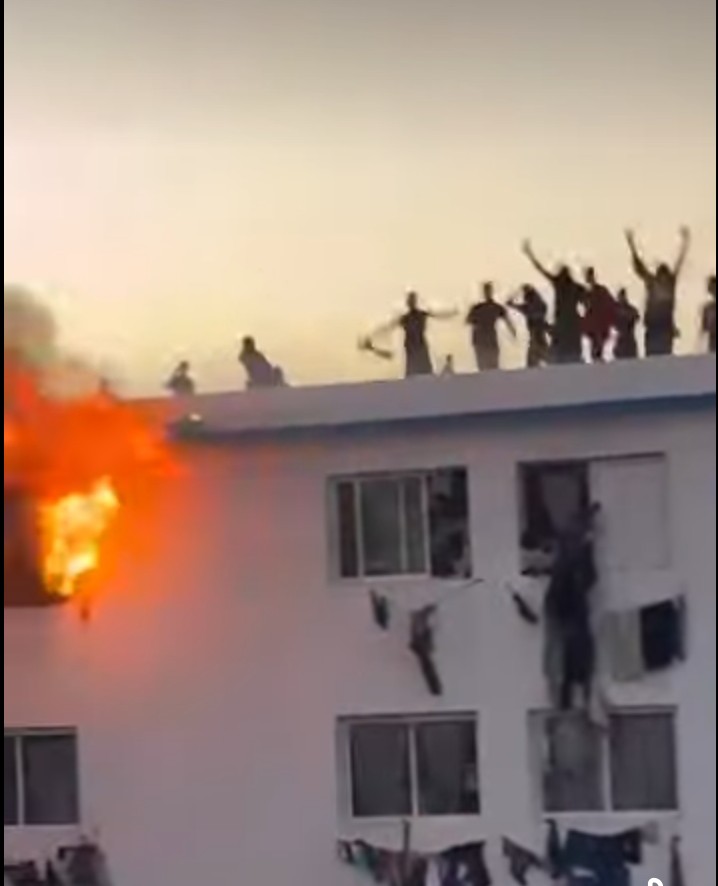 Screenshot_20260213_212127_Lite