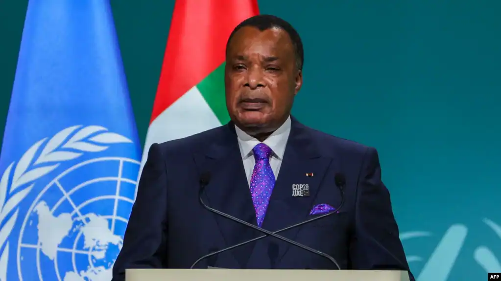 01000000-0aff-0242-ea6f-08dc6a92f287_cx4_cy4_cw89_w1023_r1_s