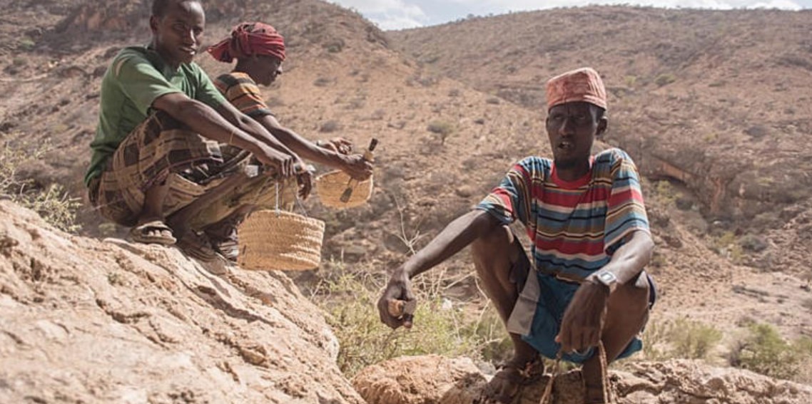 Capture d’écran 2026-03-04 050428