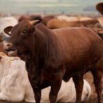 Capture d’écran 2026-03-09 153436