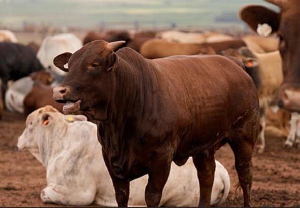 Capture d’écran 2026-03-09 153436