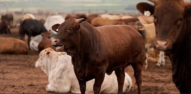 Capture d’écran 2026-03-09 153436