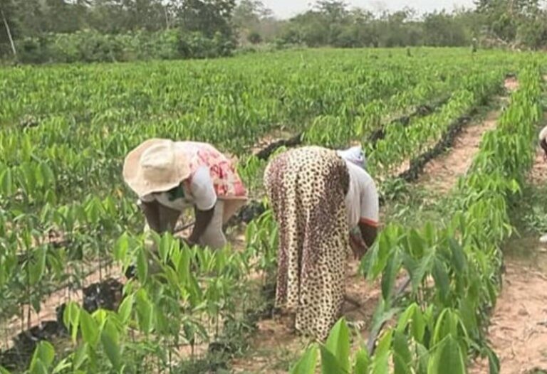 Capture d’écran 2026-03-10 044018