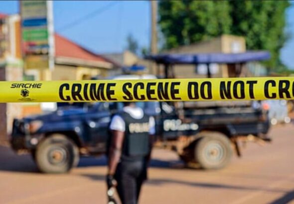 Capture d’écran 2026-03-11 050446