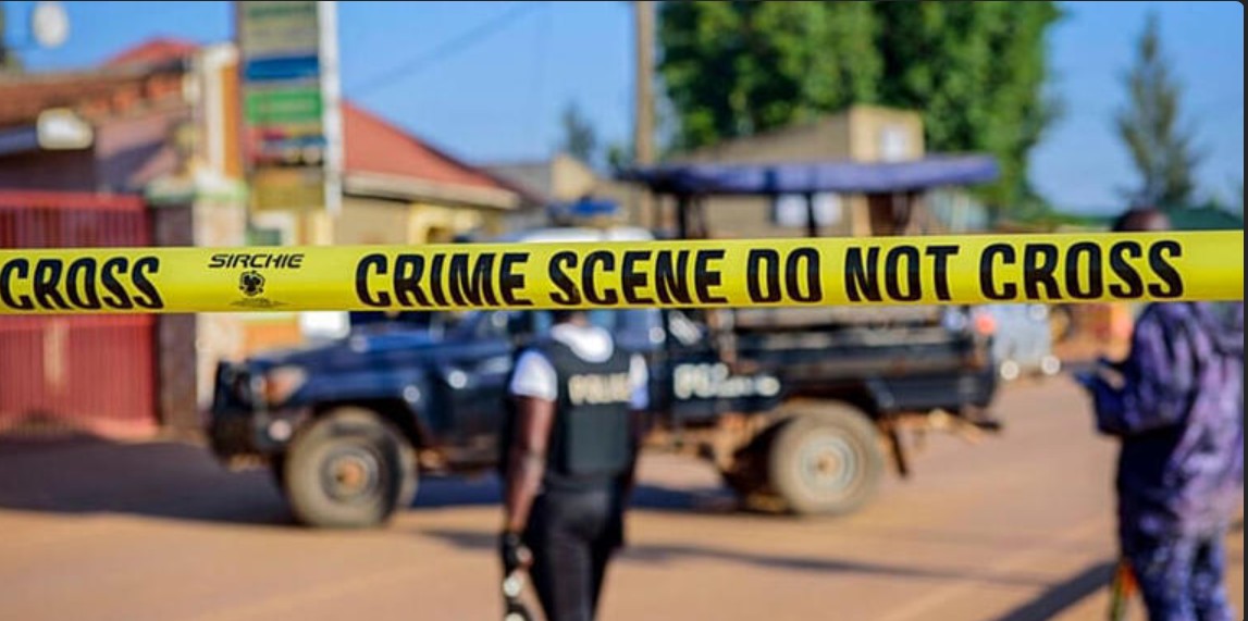 Capture d’écran 2026-03-11 050446