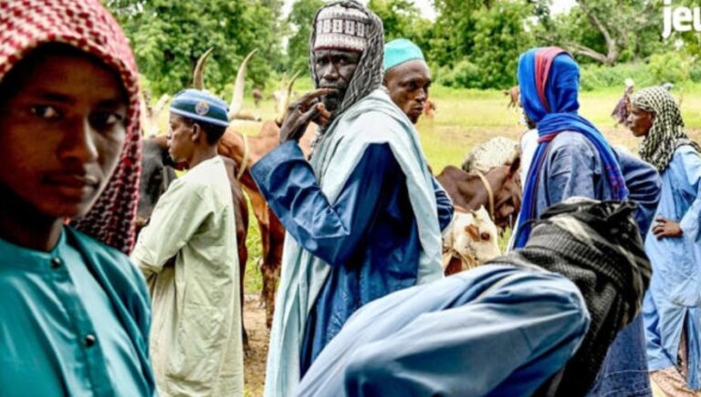 Capture d’écran 2026-03-16 041242