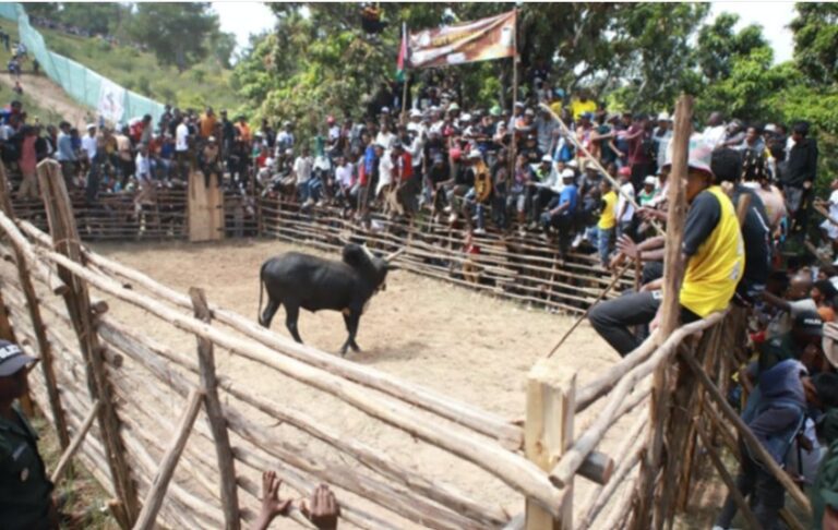 Capture d’écran 2026-03-24 083404