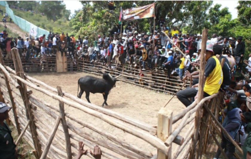 Capture d’écran 2026-03-24 083404