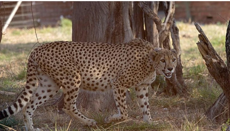 Capture d’écran 2026-03-24 083713