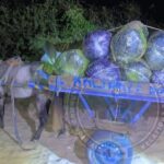 FB_IMG_1773666714104