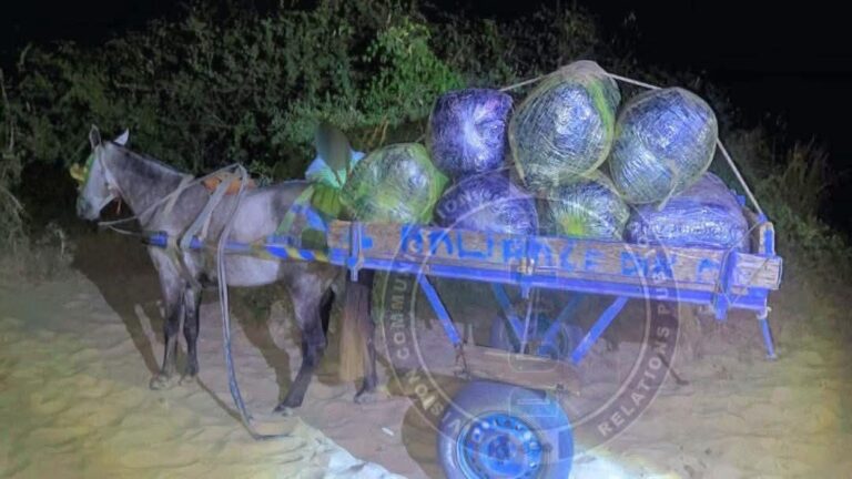 FB_IMG_1773666714104