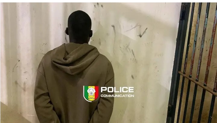 Screenshot_20260322_121942_Lite