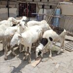 69ebd26aaa03a_c0zXlulD3K