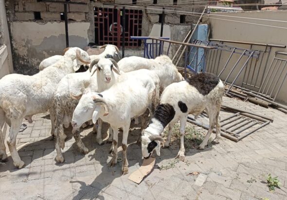 69ebd26aaa03a_c0zXlulD3K