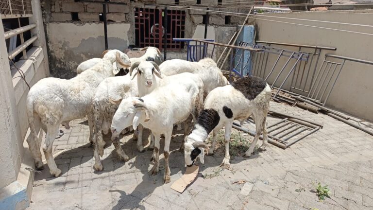 69ebd26aaa03a_c0zXlulD3K