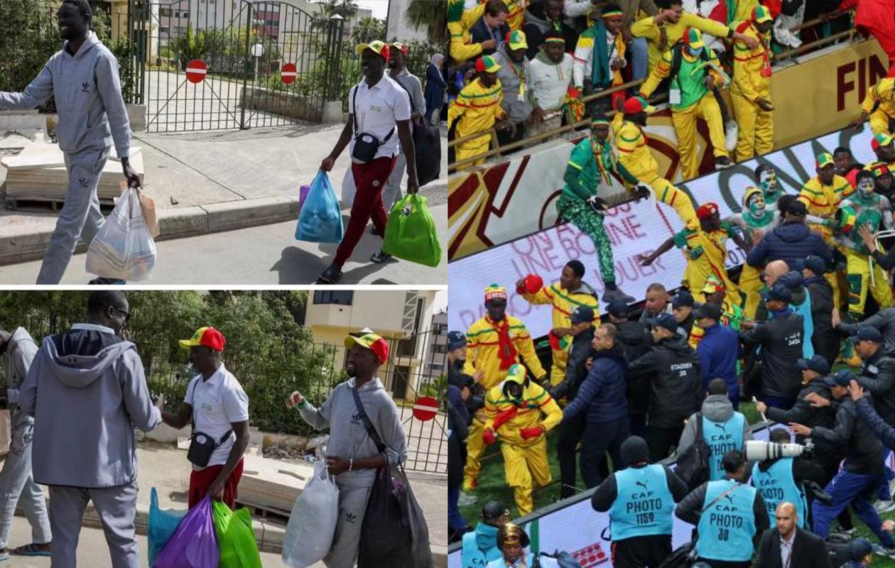 thumb_1260x800_69e5d177bd820_Xib1KMrMDz