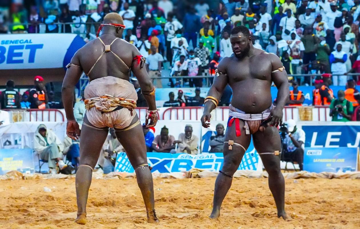 thumb_1260x800_69e88a7401f8b_4sRvN6bUjY