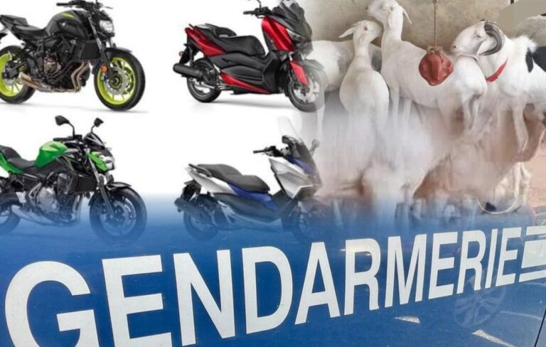 thumb_1260x800_69ea716c02bca_S3PKDbrP2R