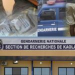 thumb_1260x800_69ebcedead0ea_Zz76TxOZR9