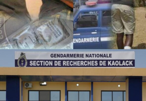 thumb_1260x800_69ebcedead0ea_Zz76TxOZR9