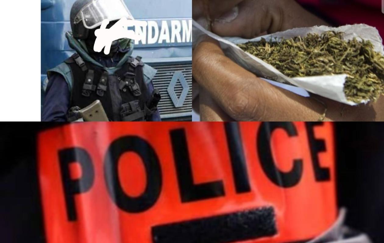 thumb_1260x800_69ee9f7acf86f_xWgsnlCuMU