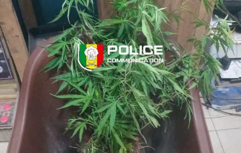 thumb_1260x800_69f33e395e282_z7iG2LUQhn